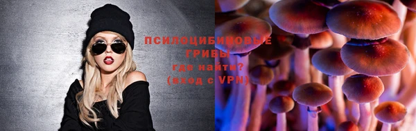 дживик Козельск