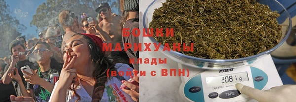 мдпв Козловка