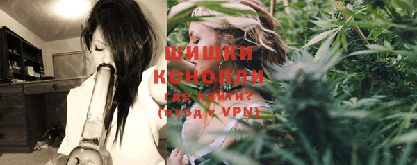 мдпв Козловка
