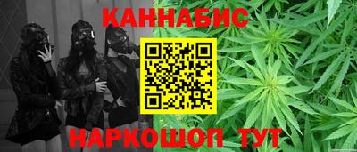 прущие грибы Комсомольск-на-Амуре