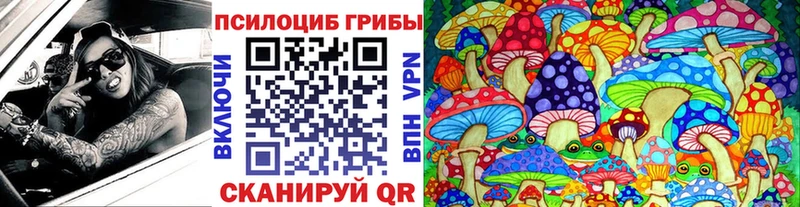 даркнет какой сайт Крымск Псилоцибиновые грибы мицелий